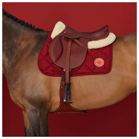 hermes tack|hermes equestrian accessories.